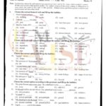 10TH CLASS ENGLISH G2 OBJECTIVE TYPE PAST PAPER GUJ BOARD 2022