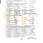 10TH CLASS ENGLISH G2 OBJECTIVE TYPE PAST PAPER GUJ BOARD 2023