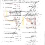 10TH CLASS ISLAMIYAT G1 OBJECTIVE TYPE PAST PAPER GUJ BOARD 2019