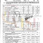 10th class English G1 Objective type past paper FBD board 2020