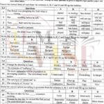 10th class English G2 Objective type past paper FBD board 2018