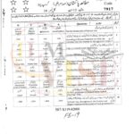 10th class Pak studie G1 Objective type past paper FBD board 2019