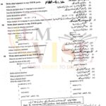 10th class computer G1 Subjective type past paper FBD board 2022