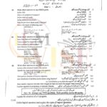 10th class computer G1 Subjective type past paper FBD board 2024