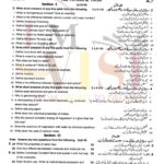 9th class CHEMISTRY SUbjective type g1 past paper RWP board 2019