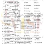 9th class english objective type g1 GUJ board past paper 2018