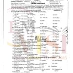 9th class english objective type g1 past paper SGD board 2024