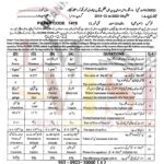 9th class physics objective type g2 past paper SGD board 2023